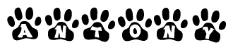 The image shows a row of animal paw prints, each containing a letter. The letters spell out the word Antony within the paw prints.