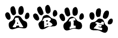 The image shows a series of animal paw prints arranged in a horizontal line. Each paw print contains a letter, and together they spell out the word Abie.