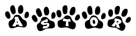 The image shows a row of animal paw prints, each containing a letter. The letters spell out the word Astor within the paw prints.