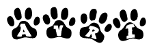 The image shows a series of animal paw prints arranged in a horizontal line. Each paw print contains a letter, and together they spell out the word Avri.