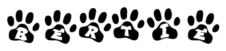 The image shows a series of animal paw prints arranged horizontally. Within each paw print, there's a letter; together they spell Bertie