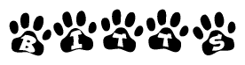 The image shows a series of animal paw prints arranged horizontally. Within each paw print, there's a letter; together they spell Bitts
