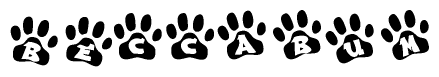 The image shows a series of animal paw prints arranged in a horizontal line. Each paw print contains a letter, and together they spell out the word Beccabum.