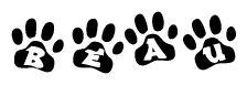 The image shows a row of animal paw prints, each containing a letter. The letters spell out the word Beau within the paw prints.