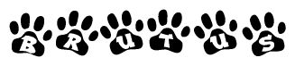 The image shows a row of animal paw prints, each containing a letter. The letters spell out the word Brutus within the paw prints.