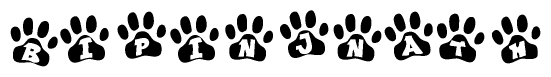 The image shows a series of animal paw prints arranged horizontally. Within each paw print, there's a letter; together they spell Bipinjnath