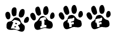 The image shows a series of animal paw prints arranged horizontally. Within each paw print, there's a letter; together they spell Biff