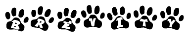 The image shows a row of animal paw prints, each containing a letter. The letters spell out the word Brevity within the paw prints.