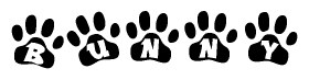 The image shows a row of animal paw prints, each containing a letter. The letters spell out the word Bunny within the paw prints.
