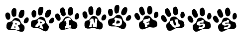 The image shows a series of animal paw prints arranged in a horizontal line. Each paw print contains a letter, and together they spell out the word Brindfuss.