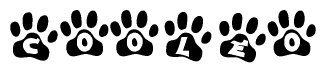 The image shows a series of animal paw prints arranged in a horizontal line. Each paw print contains a letter, and together they spell out the word Cooleo.