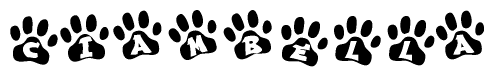 The image shows a series of animal paw prints arranged horizontally. Within each paw print, there's a letter; together they spell Ciambella