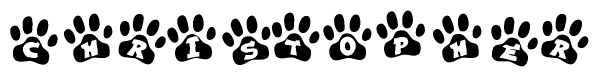 The image shows a series of animal paw prints arranged horizontally. Within each paw print, there's a letter; together they spell Christopher