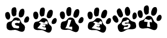 The image shows a row of animal paw prints, each containing a letter. The letters spell out the word Celest within the paw prints.