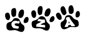 The image shows a series of animal paw prints arranged horizontally. Within each paw print, there's a letter; together they spell Cza