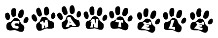 The image shows a series of animal paw prints arranged in a horizontal line. Each paw print contains a letter, and together they spell out the word Chantele.