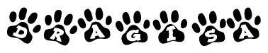 The image shows a series of animal paw prints arranged in a horizontal line. Each paw print contains a letter, and together they spell out the word Dragisa.