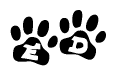 The image shows a row of animal paw prints, each containing a letter. The letters spell out the word Ed within the paw prints.