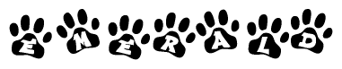 The image shows a row of animal paw prints, each containing a letter. The letters spell out the word Emerald within the paw prints.