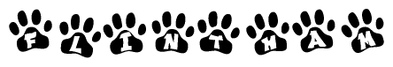 The image shows a series of animal paw prints arranged in a horizontal line. Each paw print contains a letter, and together they spell out the word Flintham.