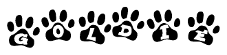 The image shows a series of animal paw prints arranged in a horizontal line. Each paw print contains a letter, and together they spell out the word Goldie.