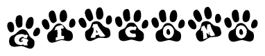 The image shows a row of animal paw prints, each containing a letter. The letters spell out the word Giacomo within the paw prints.