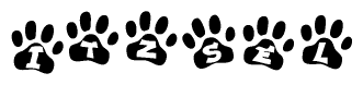 The image shows a series of animal paw prints arranged horizontally. Within each paw print, there's a letter; together they spell Itzsel