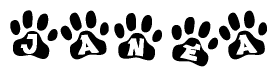 The image shows a series of animal paw prints arranged in a horizontal line. Each paw print contains a letter, and together they spell out the word Janea.
