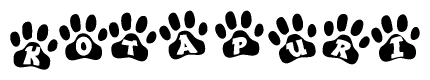The image shows a series of animal paw prints arranged horizontally. Within each paw print, there's a letter; together they spell Kotapuri