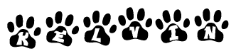 The image shows a row of animal paw prints, each containing a letter. The letters spell out the word Kelvin within the paw prints.