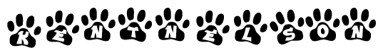 The image shows a series of animal paw prints arranged in a horizontal line. Each paw print contains a letter, and together they spell out the word Kentnelson.