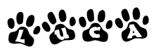 Animal Paw Prints with Luca Lettering