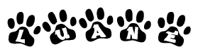 The image shows a series of animal paw prints arranged in a horizontal line. Each paw print contains a letter, and together they spell out the word Luane.