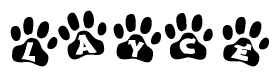 The image shows a row of animal paw prints, each containing a letter. The letters spell out the word Layce within the paw prints.
