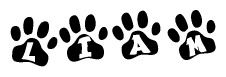Animal Paw Prints with Liam Lettering