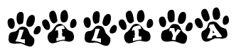 The image shows a series of animal paw prints arranged horizontally. Within each paw print, there's a letter; together they spell Liliya