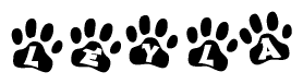 The image shows a row of animal paw prints, each containing a letter. The letters spell out the word Leyla within the paw prints.