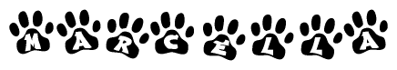 The image shows a series of animal paw prints arranged in a horizontal line. Each paw print contains a letter, and together they spell out the word Marcella.