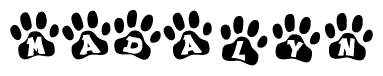   The image shows a series of animal paw prints arranged in a horizontal line. Each paw print contains a letter, and together they spell out the word Madalyn. 
