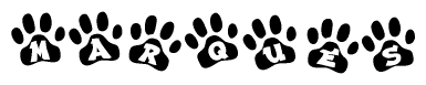 Animal Paw Prints with Marques Lettering