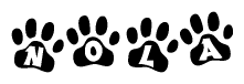 The image shows a series of animal paw prints arranged horizontally. Within each paw print, there's a letter; together they spell Nola