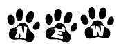 The image shows a series of animal paw prints arranged horizontally. Within each paw print, there's a letter; together they spell New