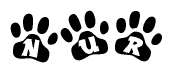 The image shows a series of animal paw prints arranged horizontally. Within each paw print, there's a letter; together they spell Nur