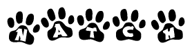 The image shows a series of animal paw prints arranged in a horizontal line. Each paw print contains a letter, and together they spell out the word Natch.