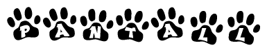The image shows a row of animal paw prints, each containing a letter. The letters spell out the word Pantall within the paw prints.
