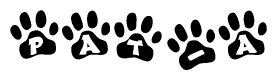 The image shows a series of animal paw prints arranged in a horizontal line. Each paw print contains a letter, and together they spell out the word Pat-a.