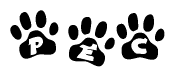 The image shows a series of animal paw prints arranged horizontally. Within each paw print, there's a letter; together they spell Pec