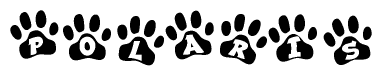 The image shows a row of animal paw prints, each containing a letter. The letters spell out the word Polaris within the paw prints.