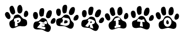 The image shows a series of animal paw prints arranged in a horizontal line. Each paw print contains a letter, and together they spell out the word Pedrito.