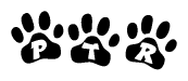 The image shows a row of animal paw prints, each containing a letter. The letters spell out the word Ptr within the paw prints.